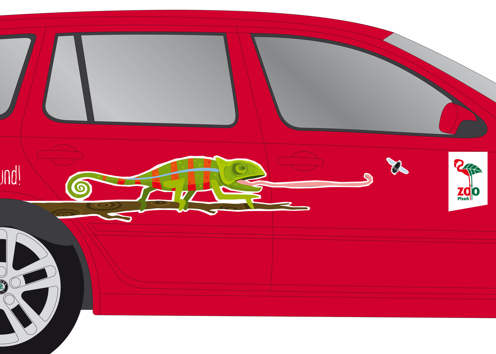 Chameleon pro zoo Chameleon pro zoo